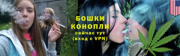 молекула духа Вязники
