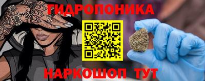 гашик Волгодонск