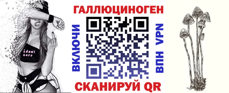 Галлюциногенные грибы Psilocybine cubensis  Дивногорск 